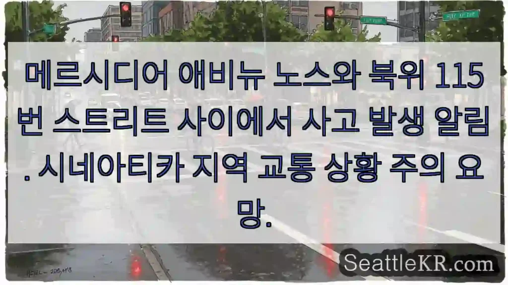 사고! 메르시디어 애비뉴 노스 &amp; 북위 115번 스트리트