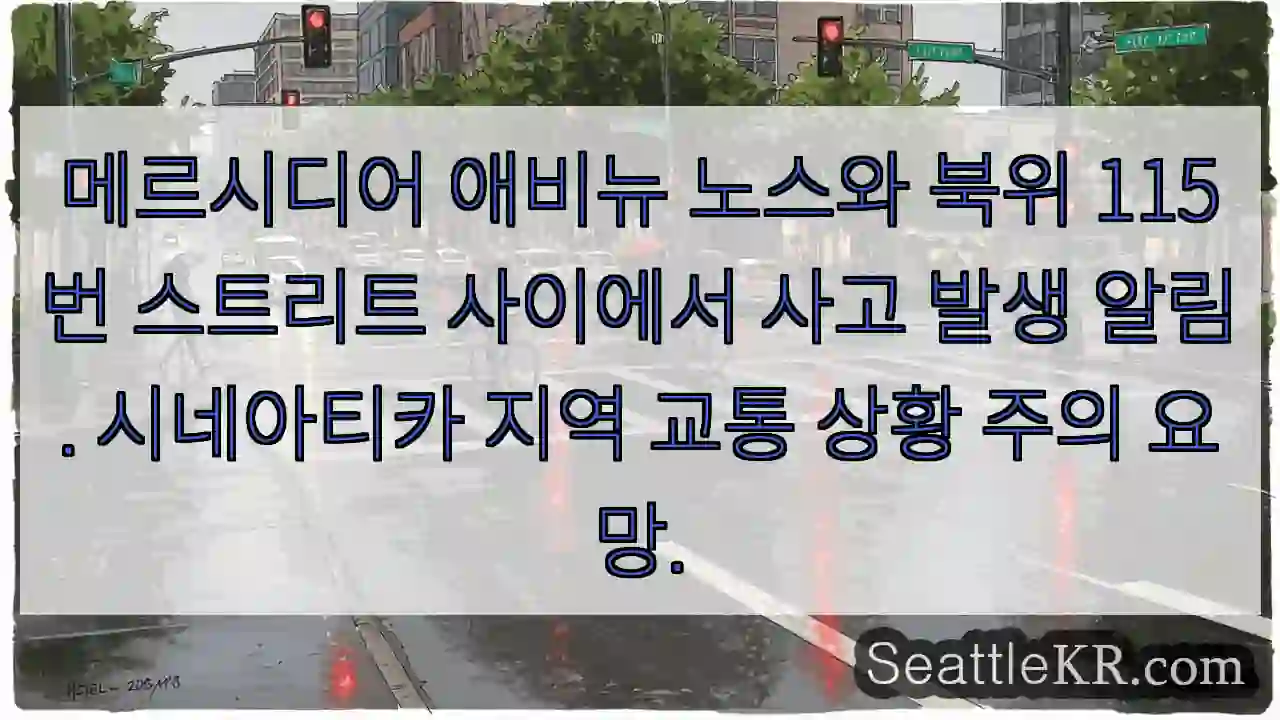 사고! 메르시디어 애비뉴 노스 & 북위 115번 스트리트