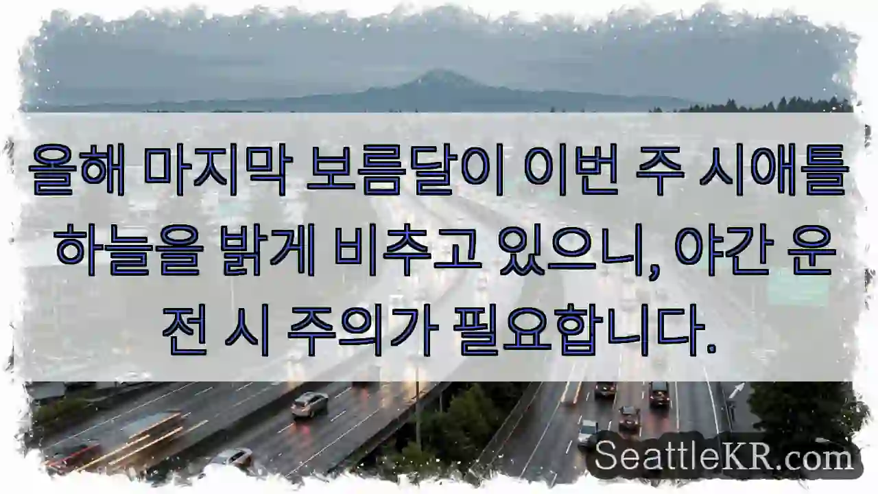 보름달 주의! 안전운전