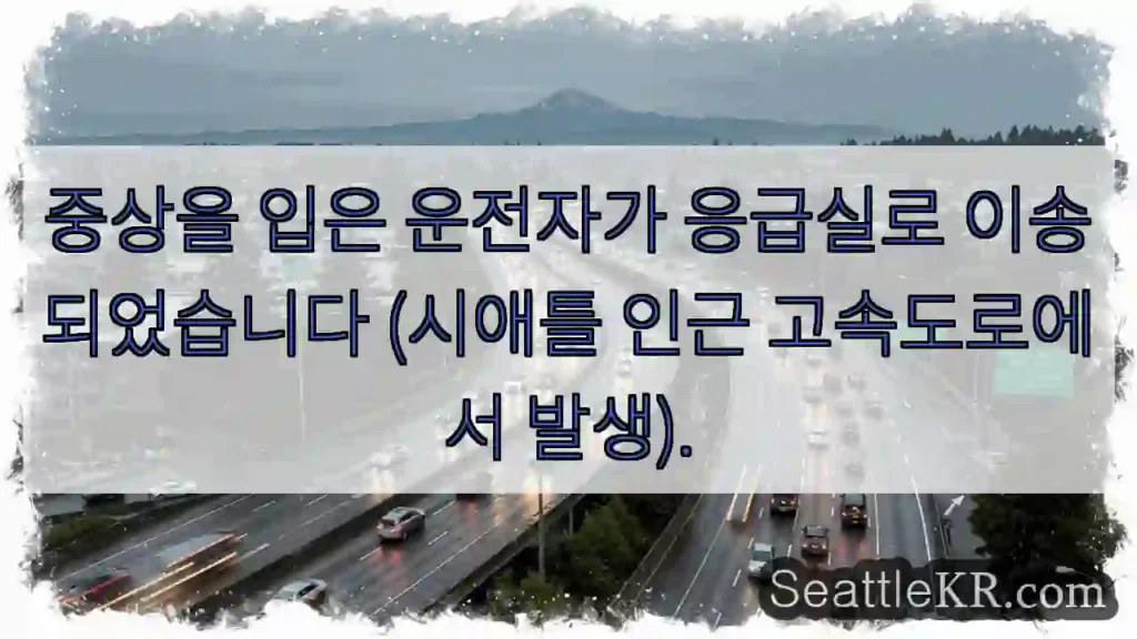 응급 이송 중상자