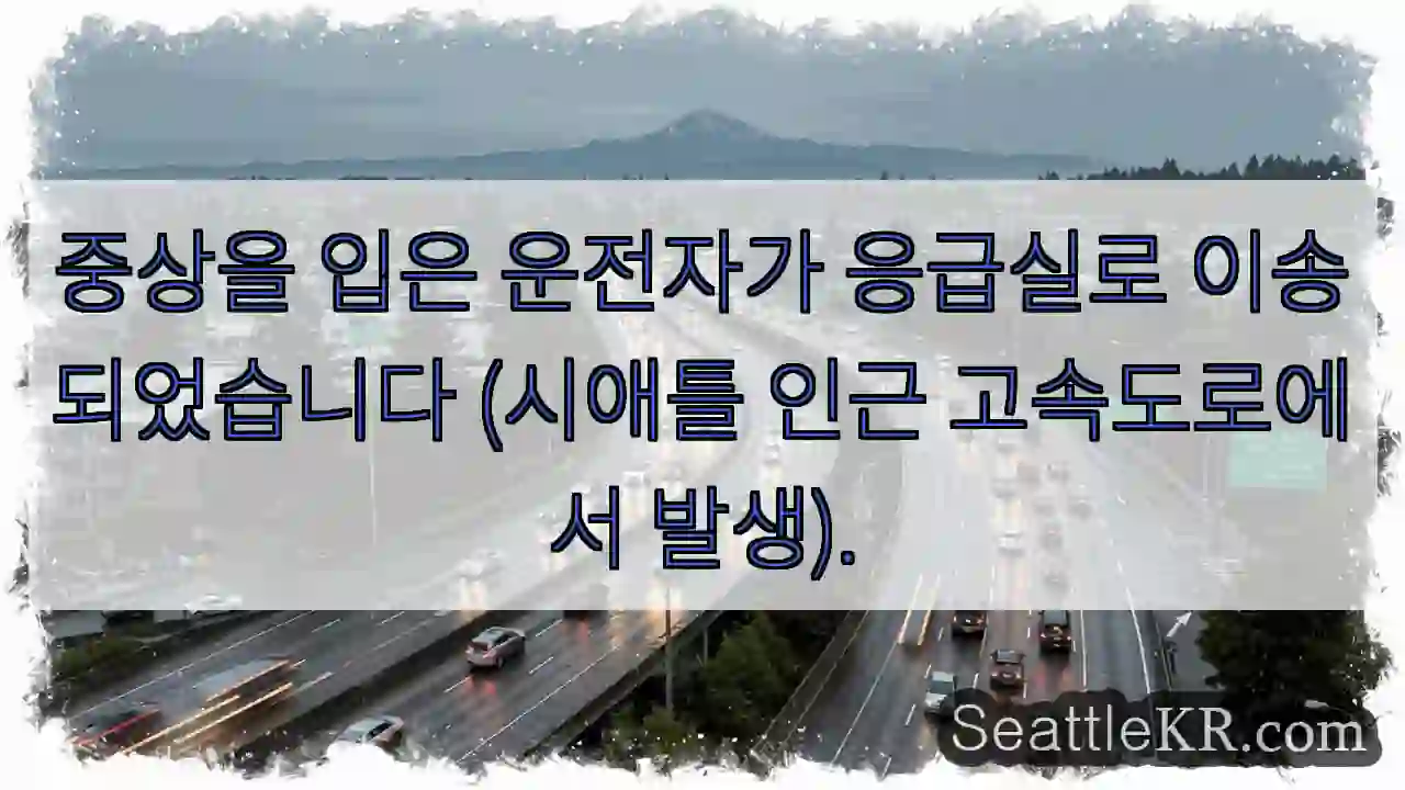 응급 이송 중상자