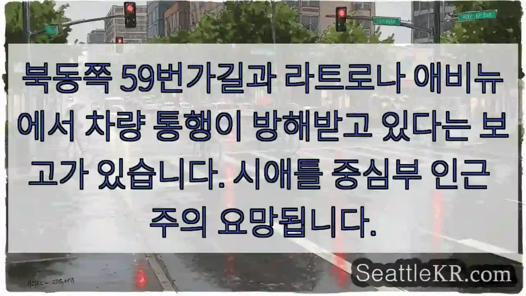 교통 체증 주의! 59번가길, 라트로나 애비뉴