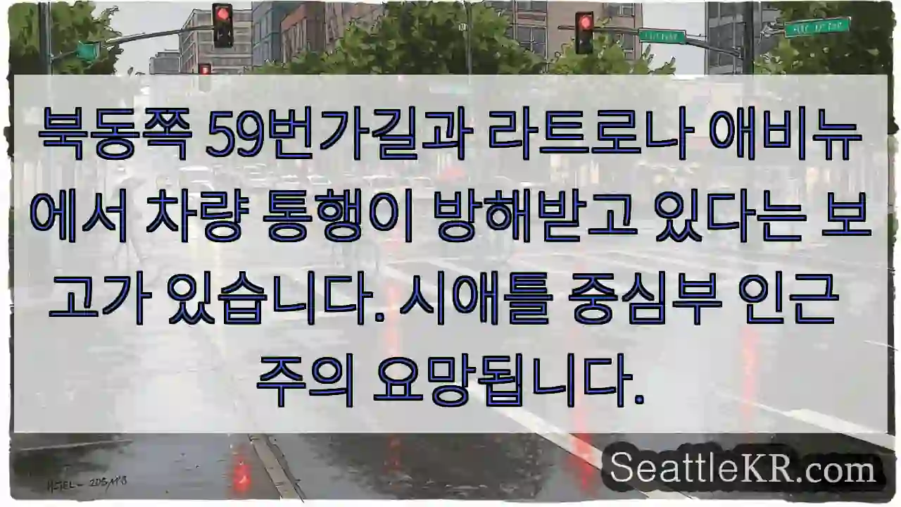 교통 체증 주의! 59번가길, 라트로나 애비뉴