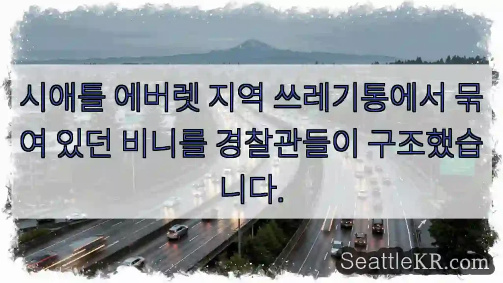 비니 구조 완료! 🐶🚓