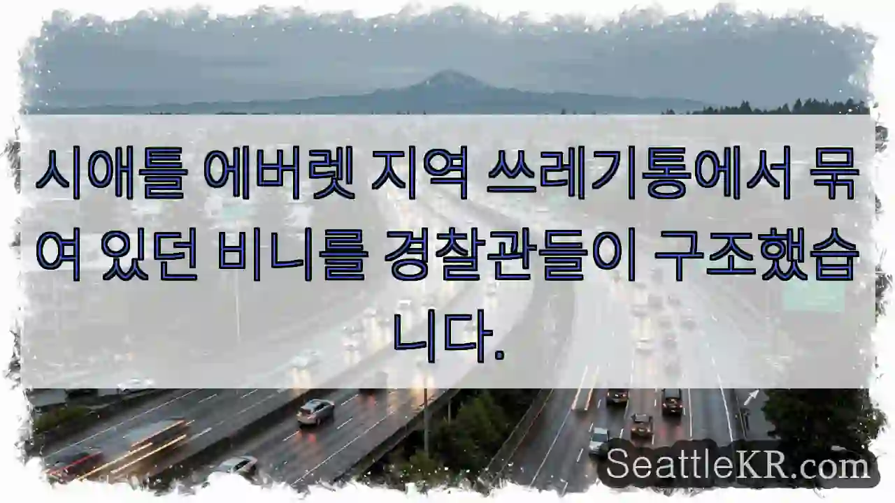 비니 구조 완료! 🐶🚓