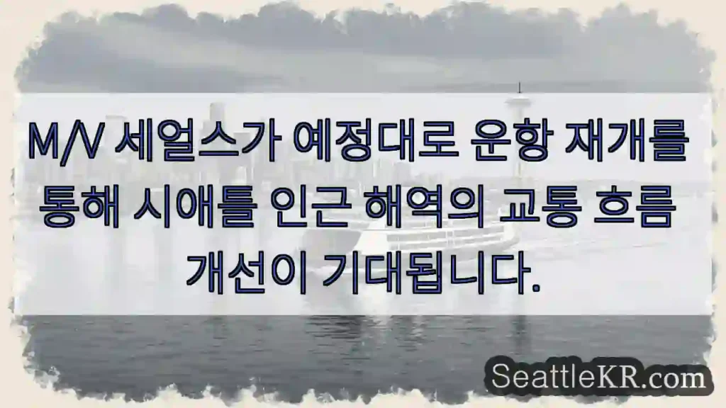 세얼스 운항 재개! 흐름 개선