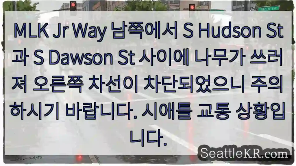 길 주의! 나무 넘어짐