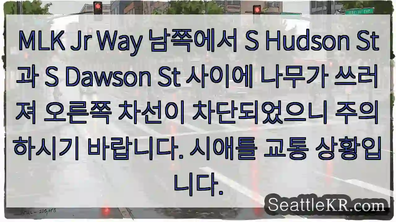 길 주의! 나무 넘어짐