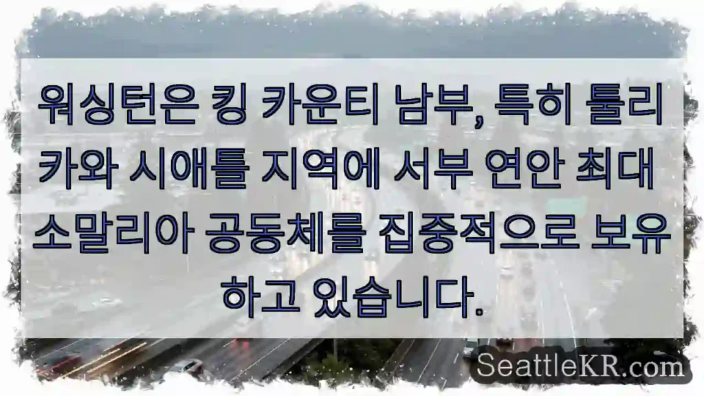 소말리아 공동체의 중심지