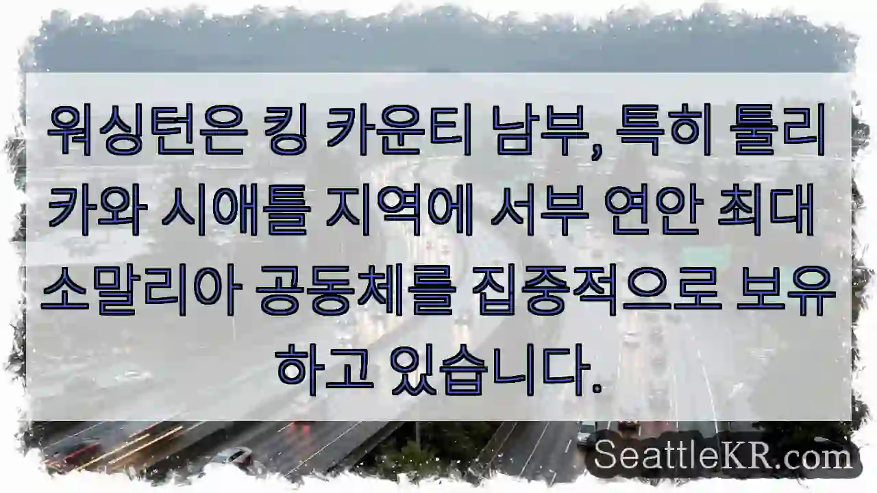 소말리아 공동체의 중심지