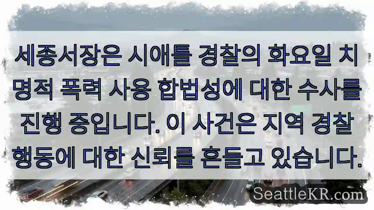 세종서장, 사건 조사 중