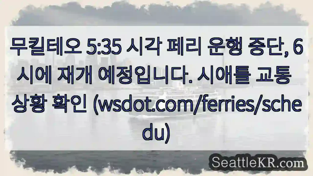 페리 운행 일시정지 (5:35)