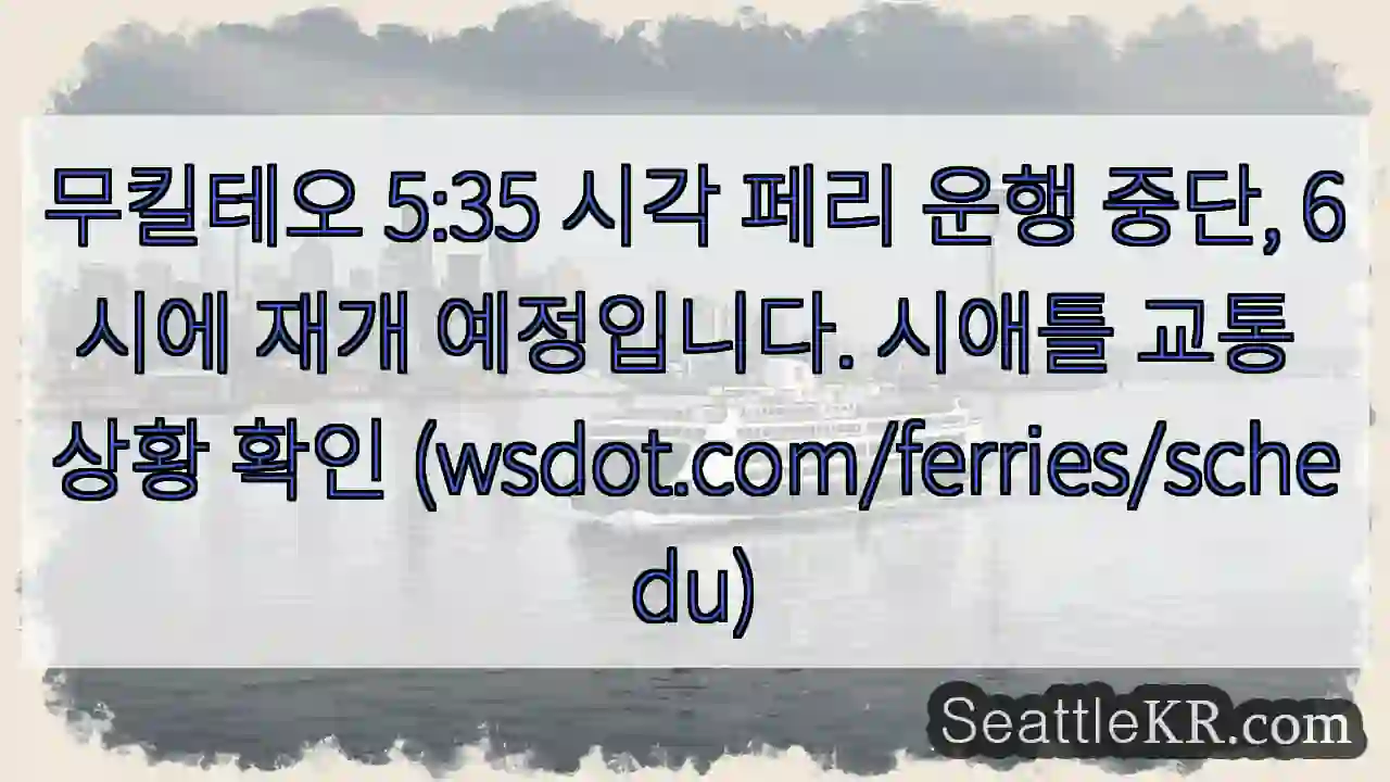 페리 운행 일시정지 (5:35)