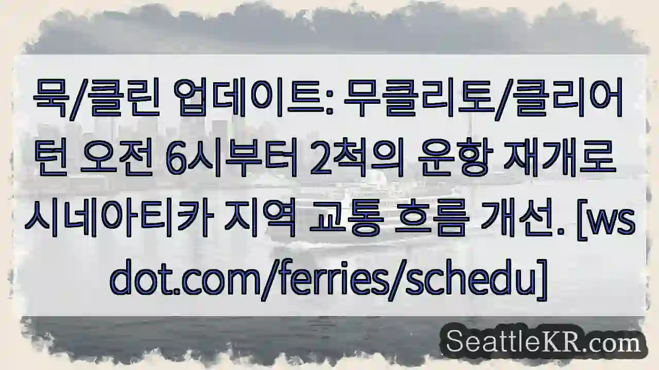 운항 재개! 시네아티카 흐름 개선