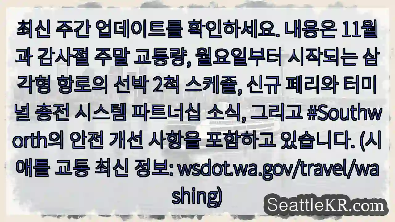 이번 주 업데이트 확인!