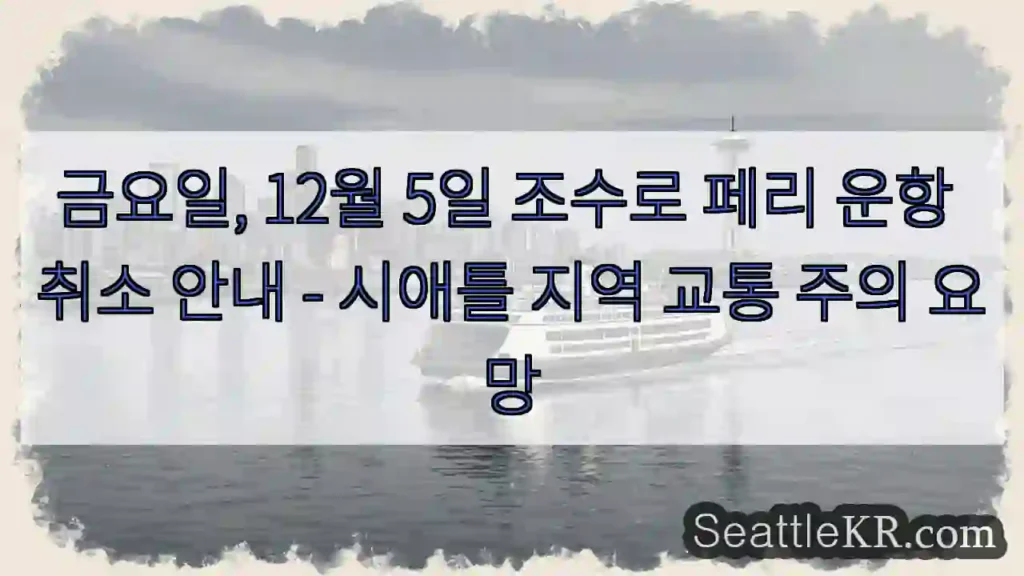 페리 운행 취소! 주의하세요.