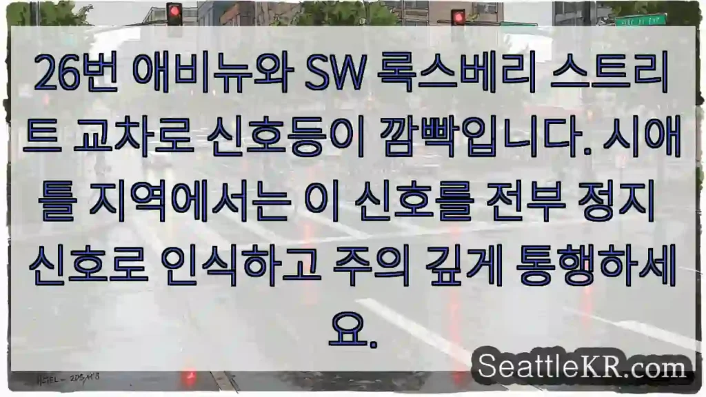 신호등 깜빡! 주의! 정지