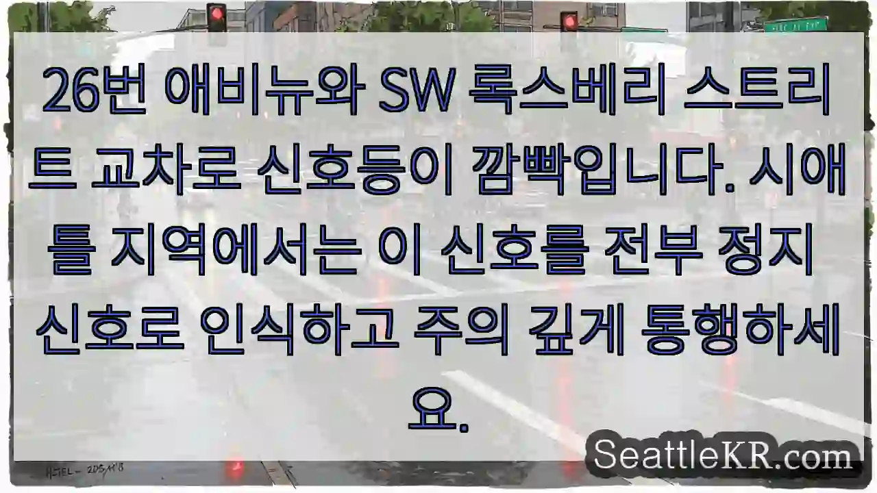신호등 깜빡! 주의! 정지