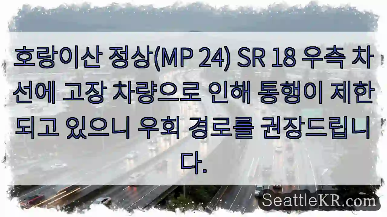 정상 통행 제한! 우회 권장