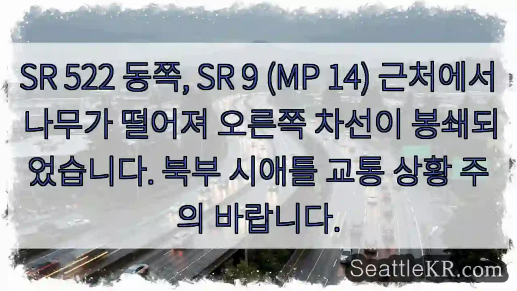 나무로 오른쪽 차선 막힘