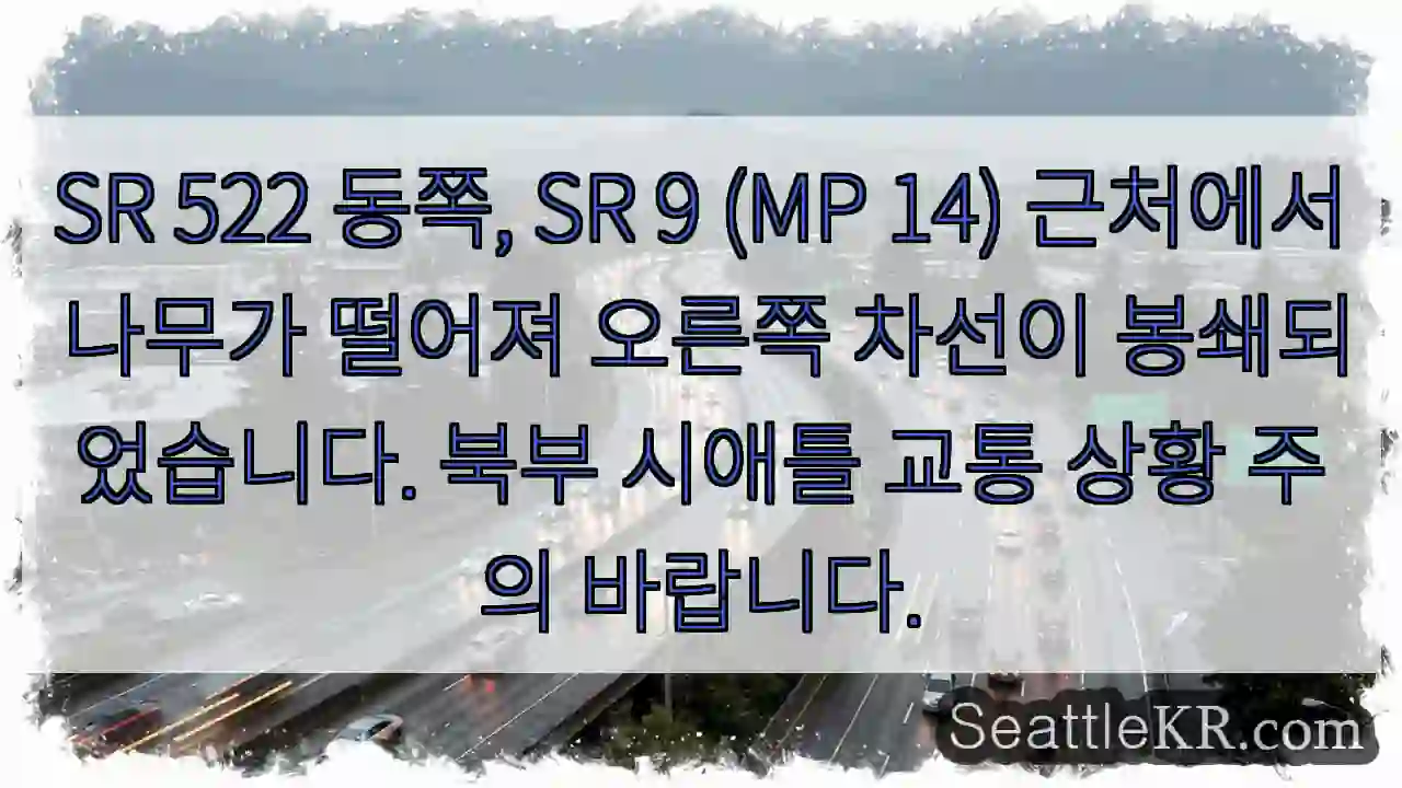 나무로 오른쪽 차선 막힘