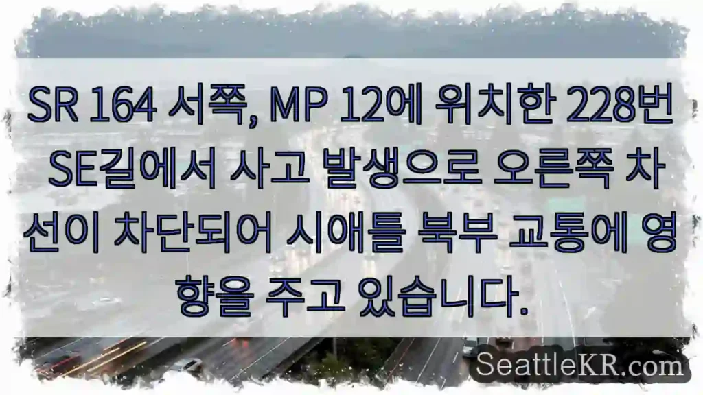 사고! 228번 SE길 차단