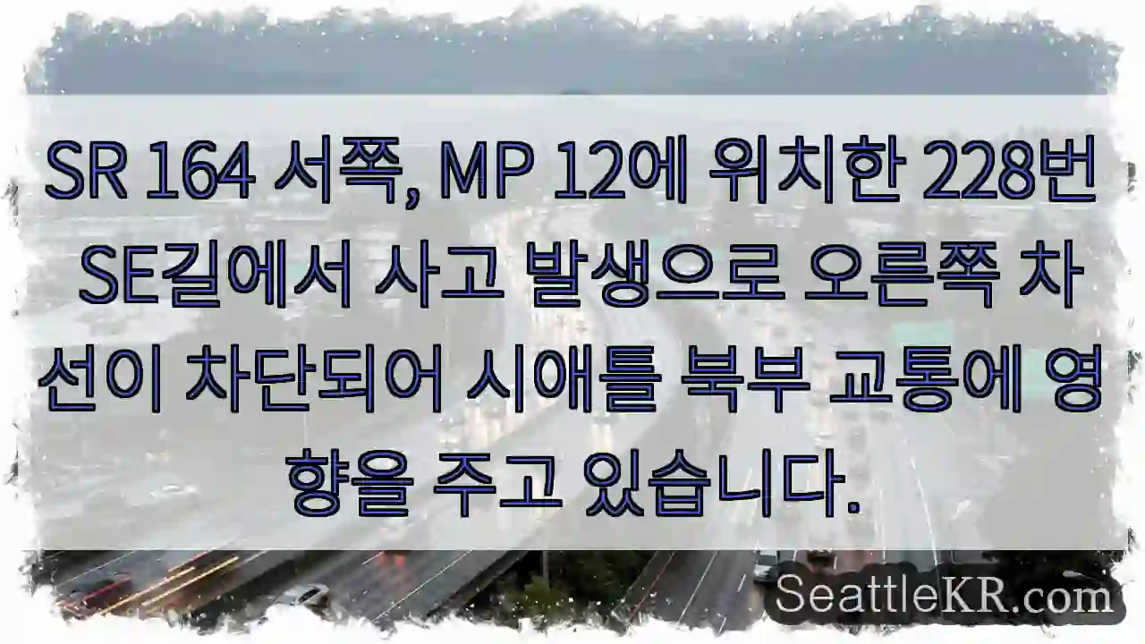 사고! 228번 SE길 차단