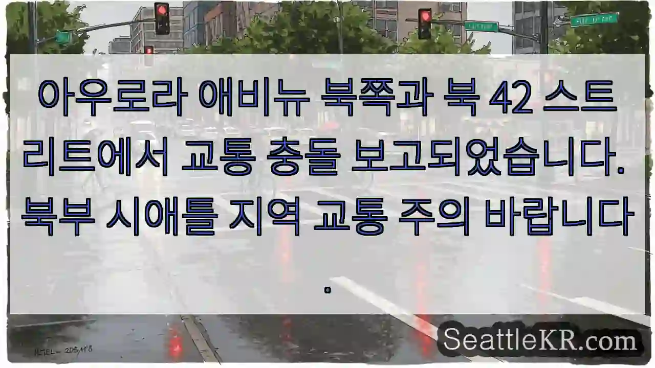 교통 충돌! 주의 필요