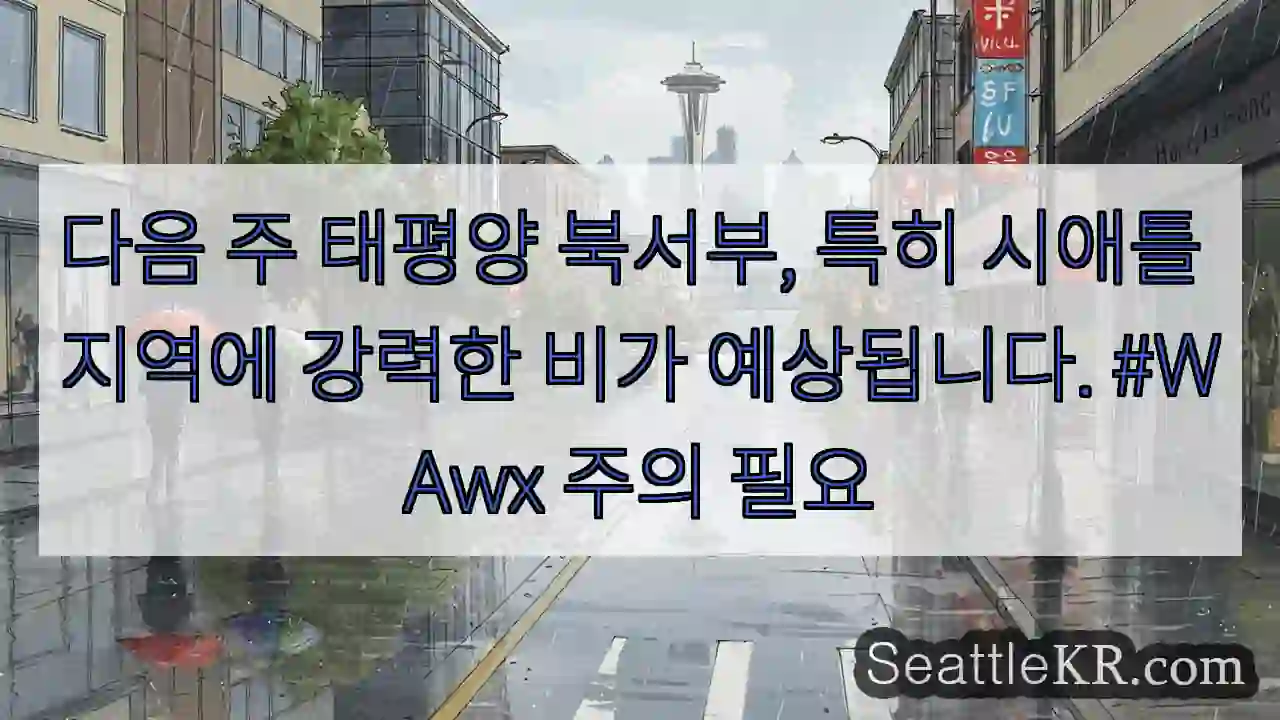 강력한 폭우 주의!