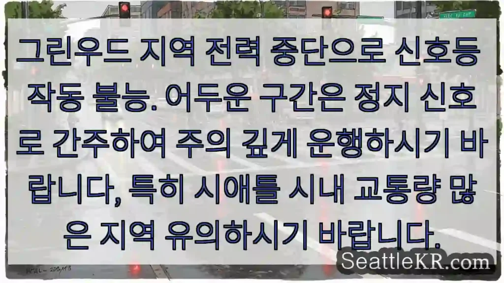 신호등 고장! 주의 운행