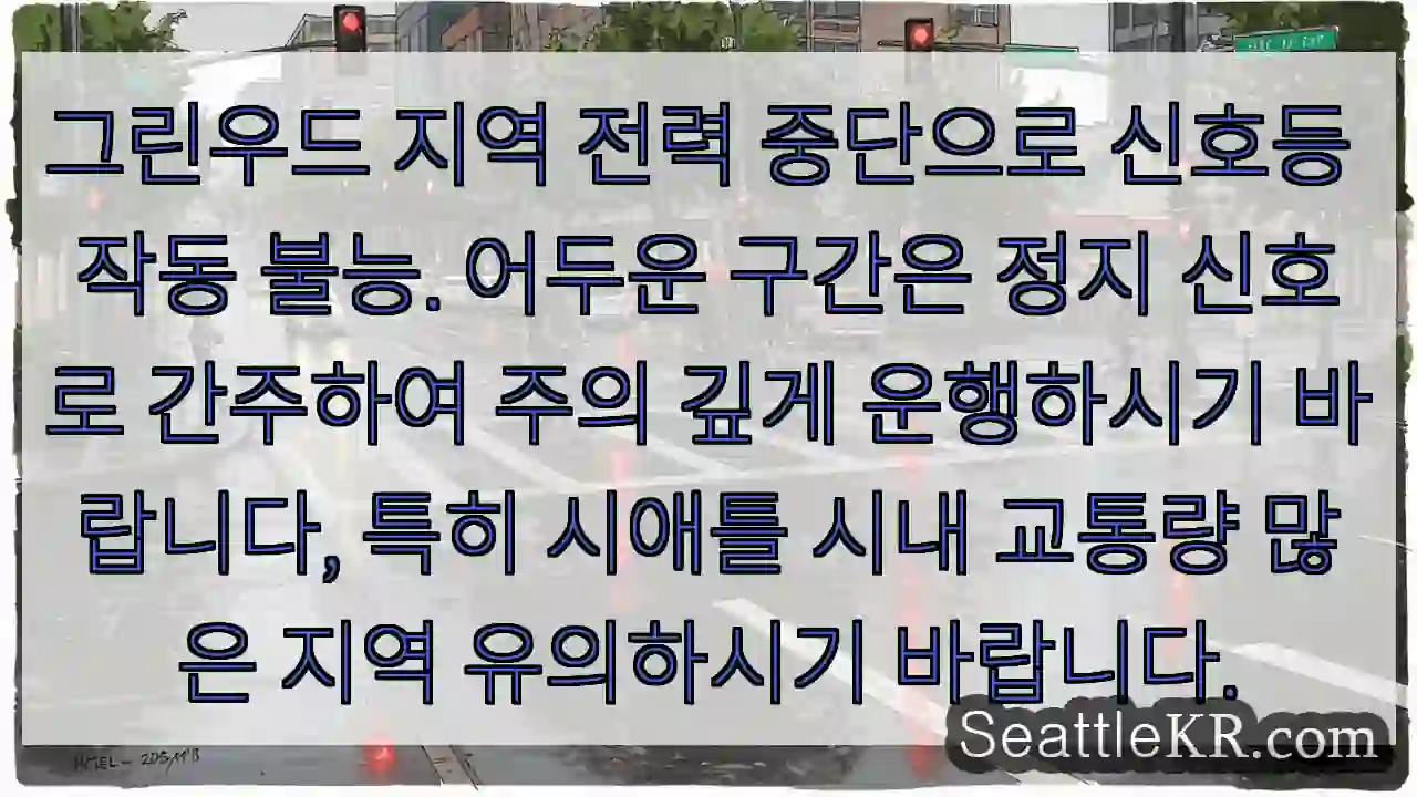 신호등 고장! 주의 운행