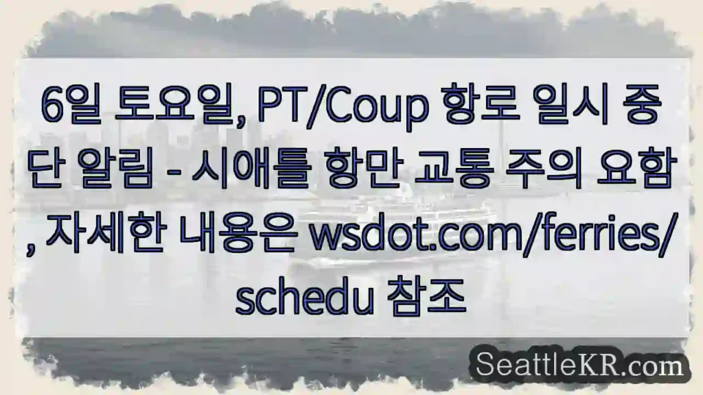 PT/Coup 항로 일시 중단!