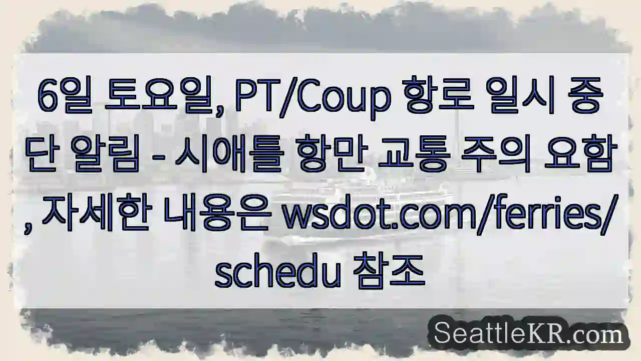 PT/Coup 항로 일시 중단!