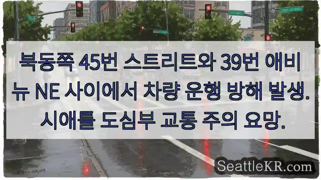 교통 체증! 45/39 주의