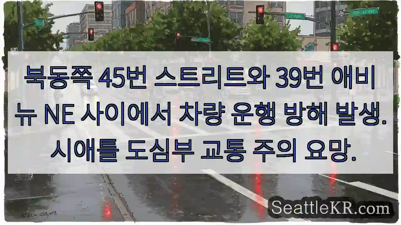 교통 체증! 45/39 주의