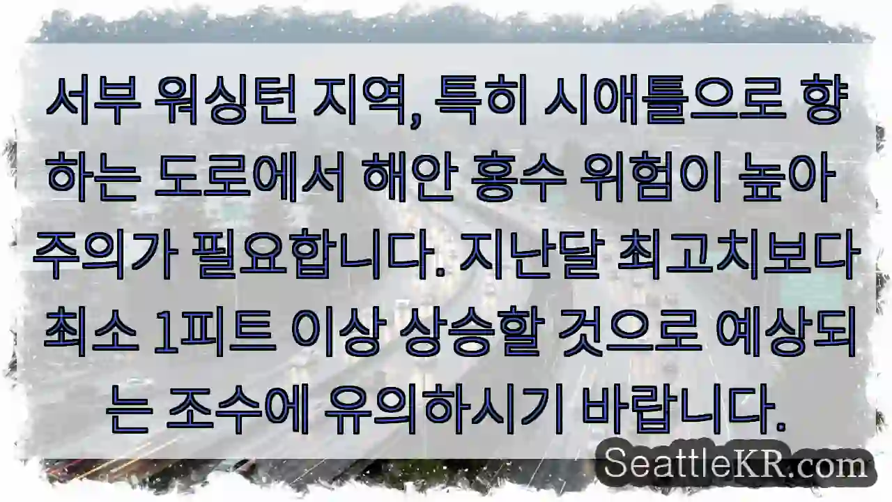 주의: 해안 홍수 위험 높음