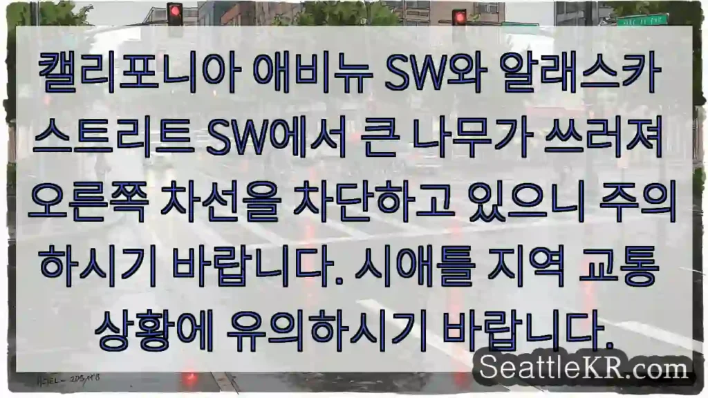 나무 넘어짐! 오른쪽 차선 주의