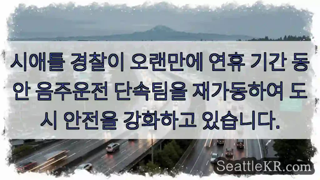 연휴 음주운전 단속 재개!