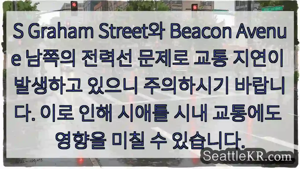 전력선 문제! 교통 지연 주의