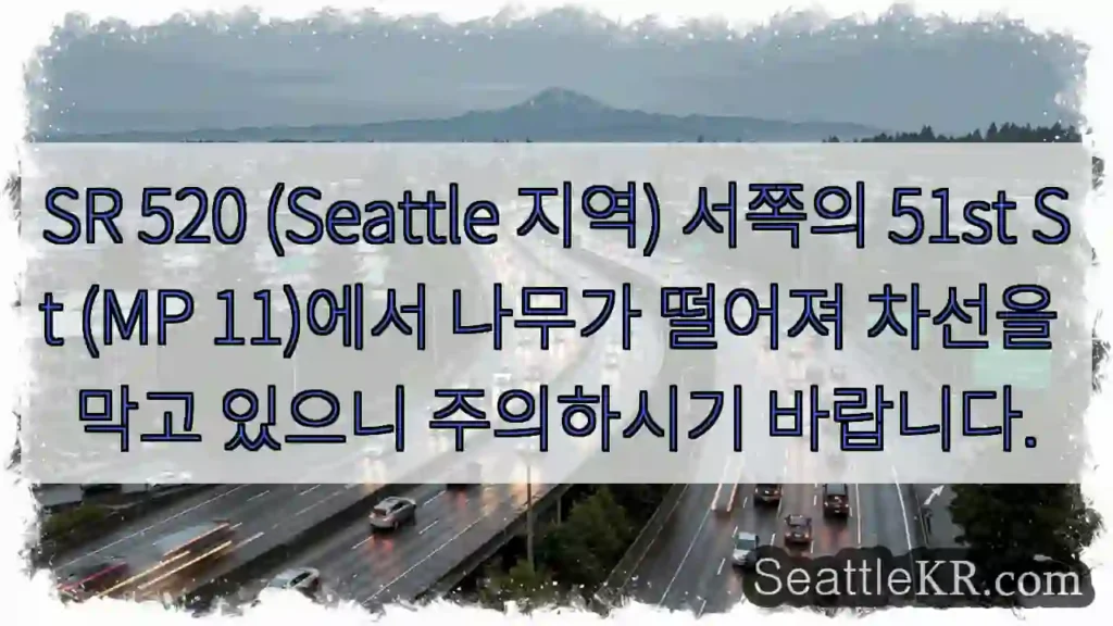 나무 넘어진 차선! 주의