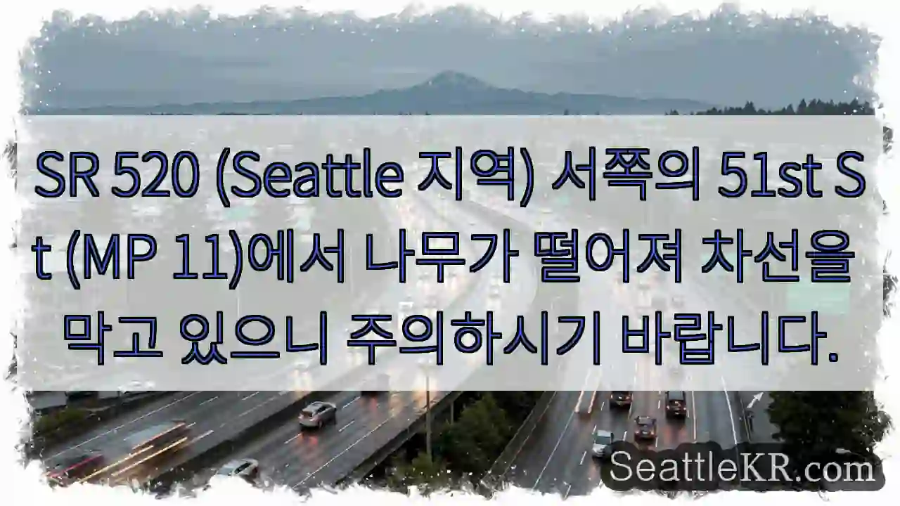 나무 넘어진 차선! 주의