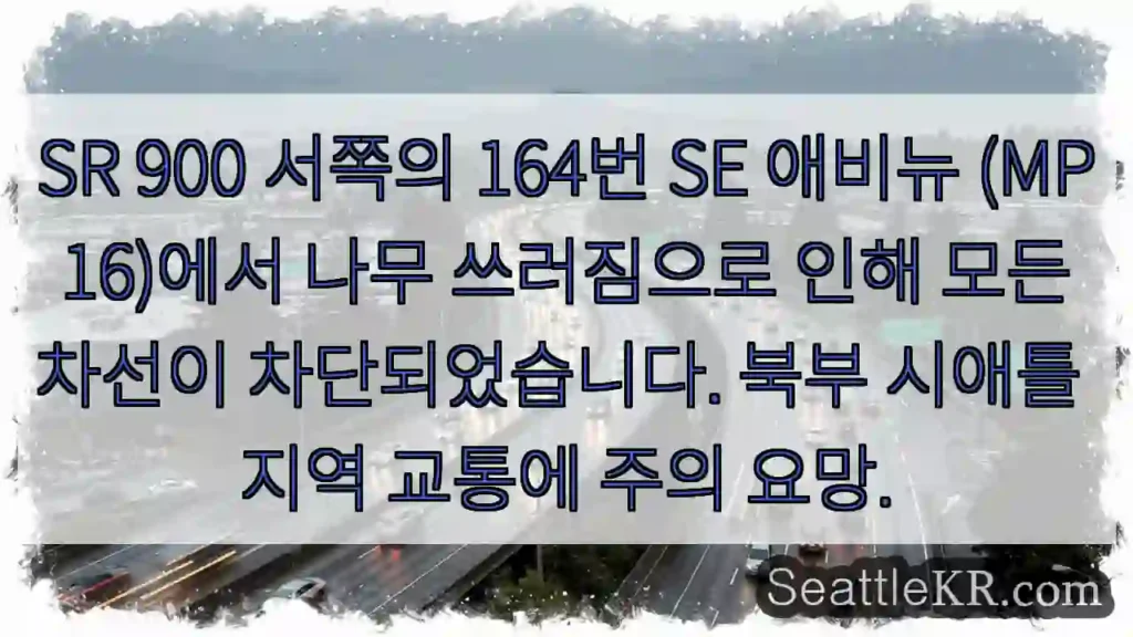 트리 붕괴! 164 SE 애비뉴 차단