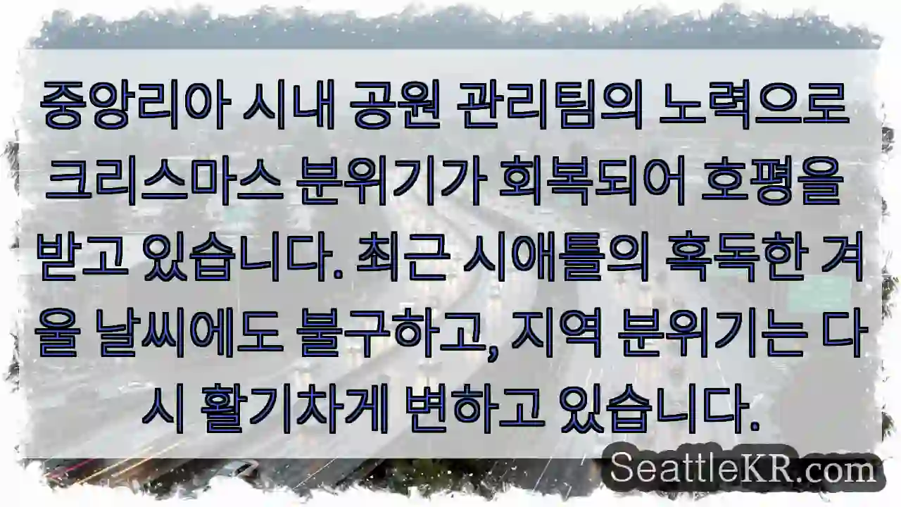 크리스마스 분위기 되찾았어요!