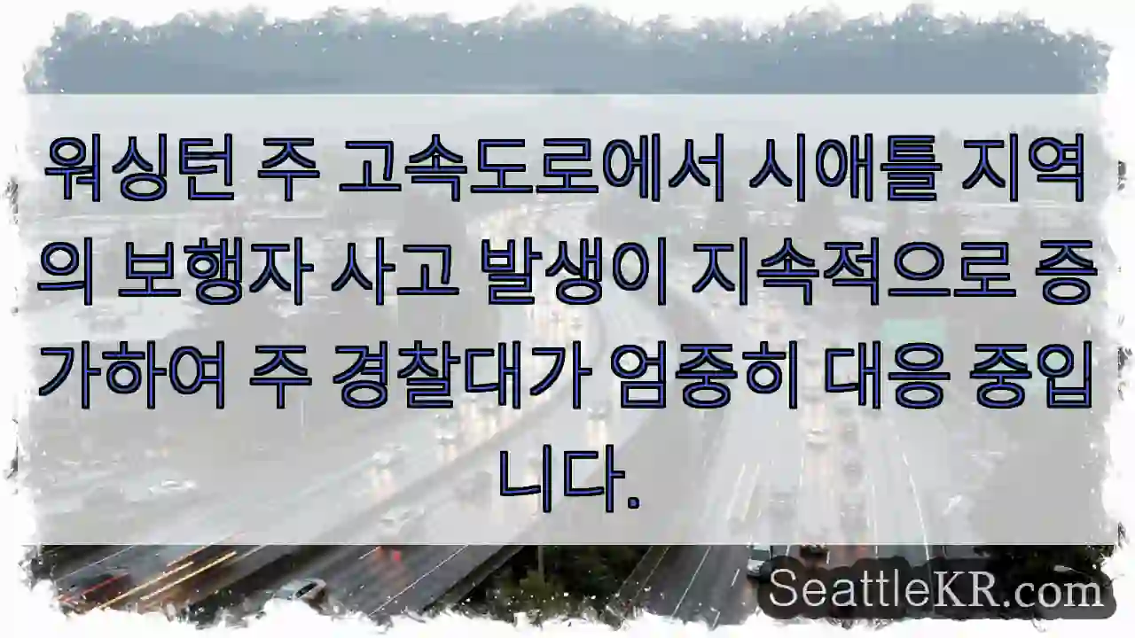 보행자 사고 급증! 주의!