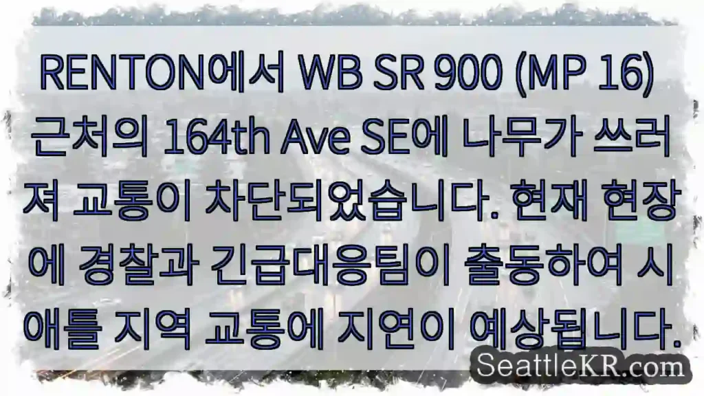 나무 넘어짐! 교통 통행 불가