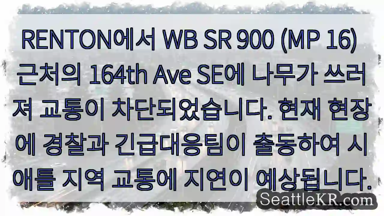 나무 넘어짐! 교통 통행 불가