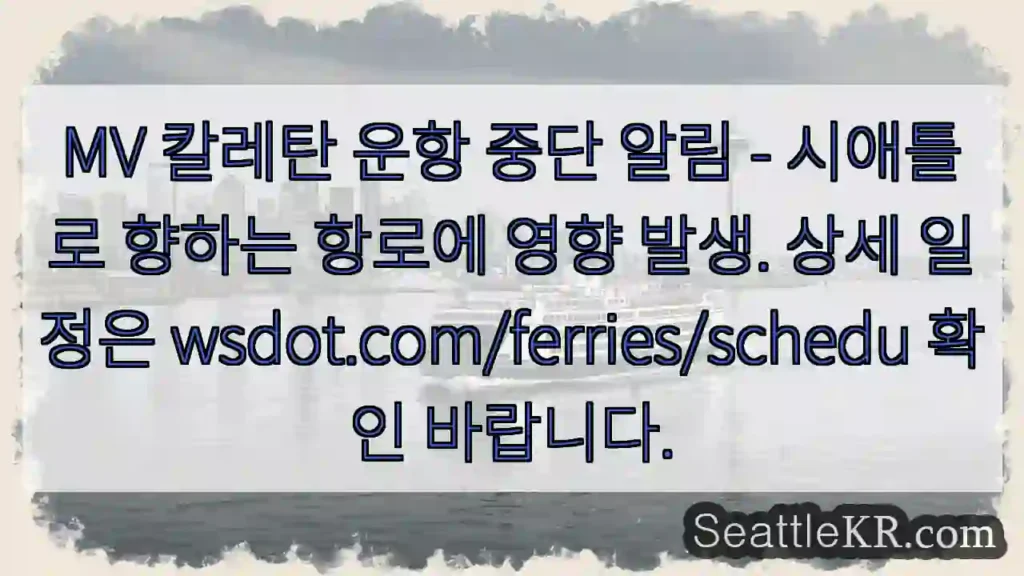 칼레탄 운항 중단!