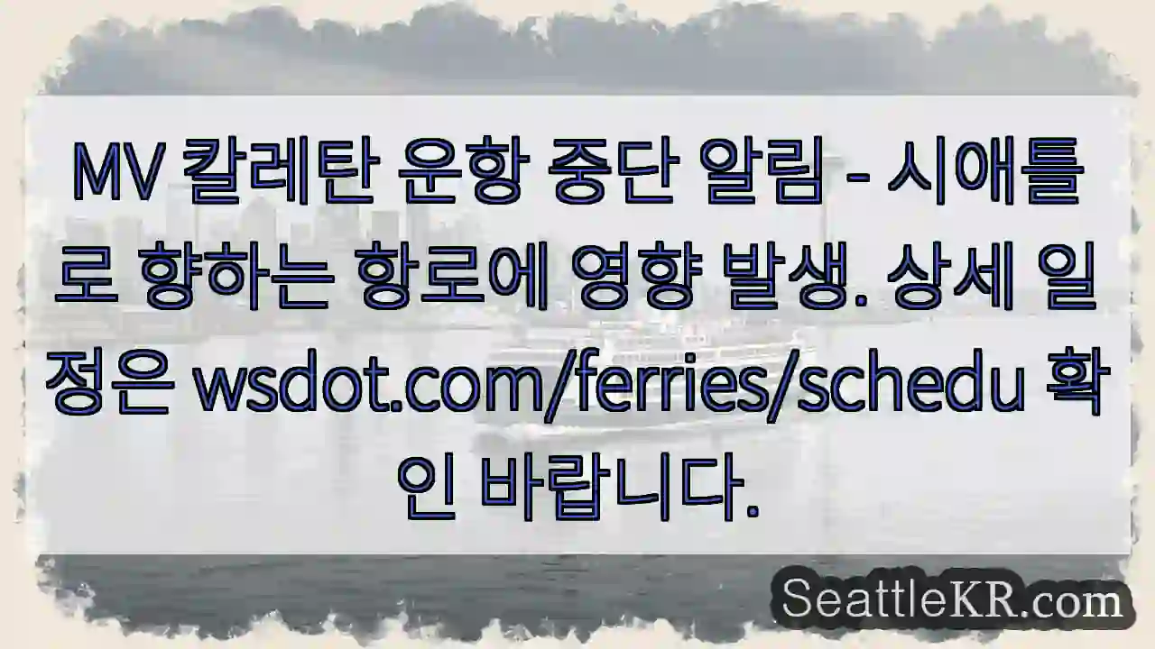 칼레탄 운항 중단!