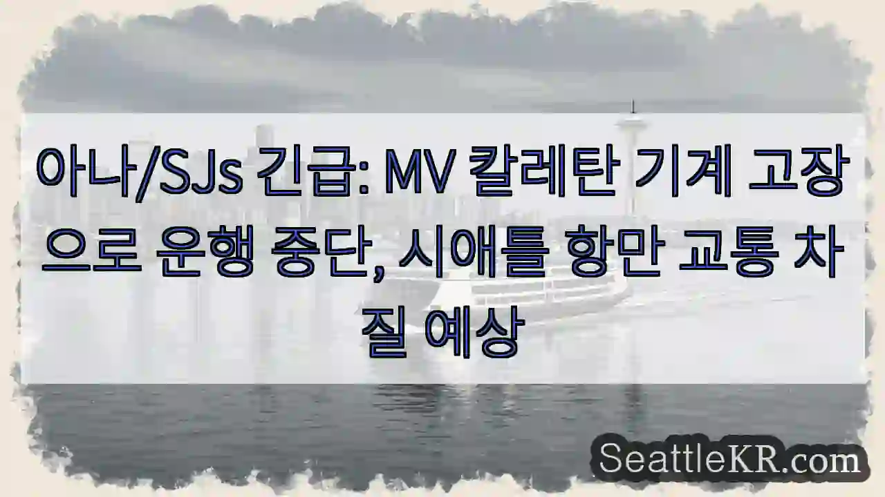 긴급! 칼레탄 운행 중단