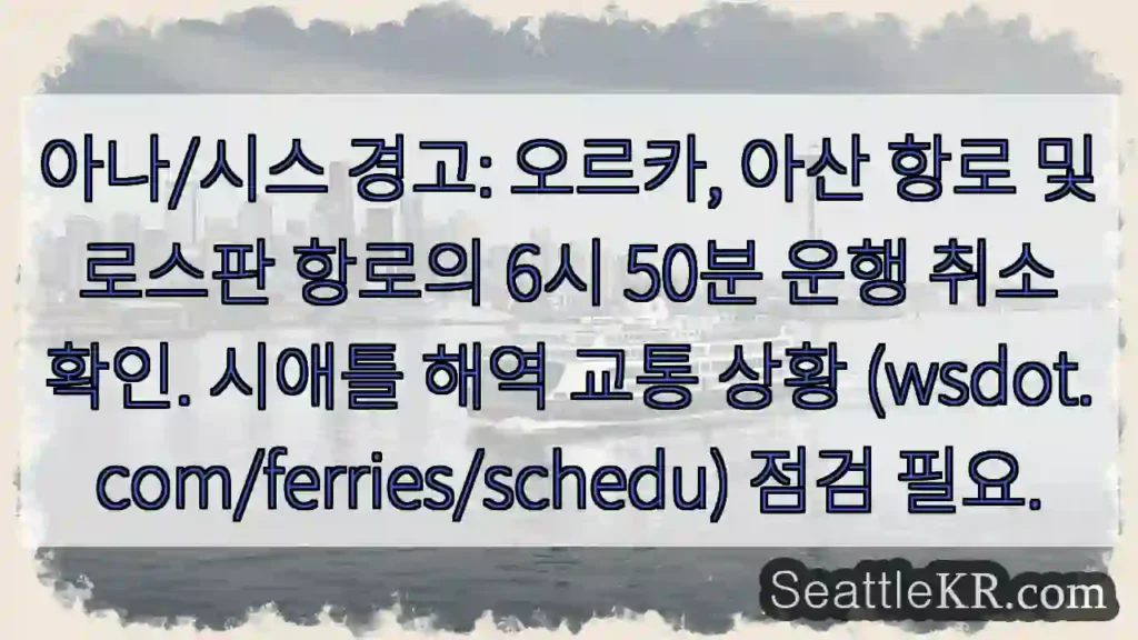 오르카 항로 운행 취소!